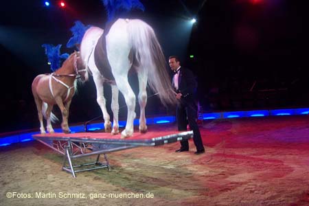 060201krone_trunk2_12