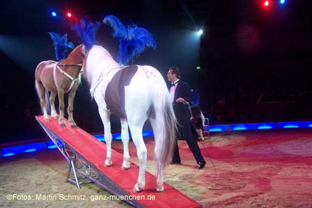 060201krone_trunk2_13