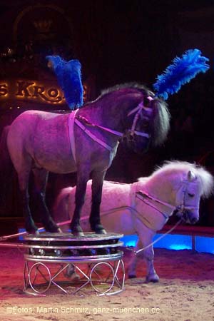 060201krone_trunk2_14