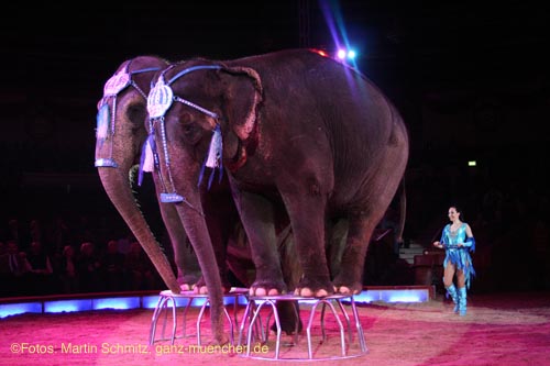 070201krone_elefanten01