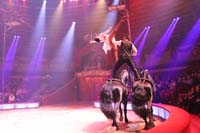 220218circus-krone123