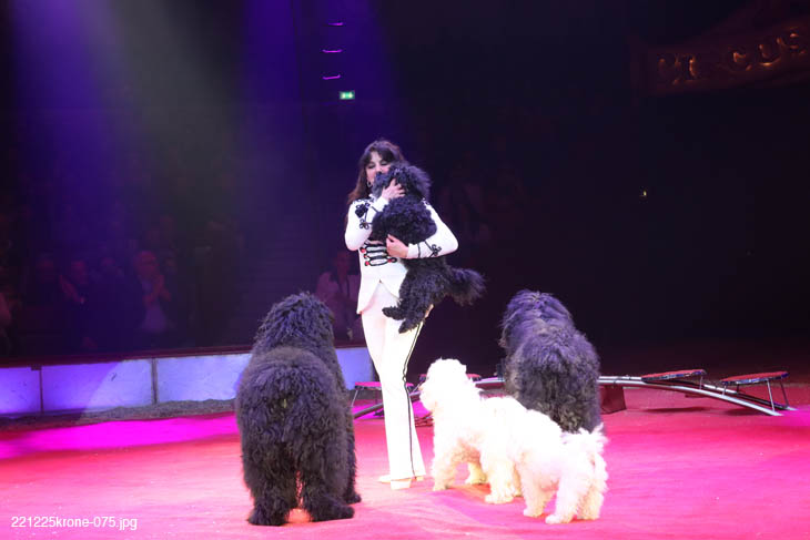 Gina Giovannis mit ihren talentierten Hunden im Circus Krone Winterprogramm 2023(©Foto.Martin Schmitz)