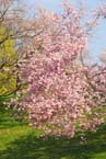 070408ig_olympia_ostern58