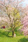 070408ig_olympia_ostern59