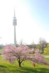 070408ig_olympia_ostern64