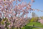 070408ig_olympia_ostern66