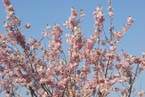 070408ig_olympia_ostern69