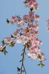 070408ig_olympia_ostern70