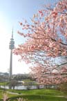 070408ig_olympia_ostern80