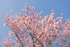 070408ig_olympia_ostern81