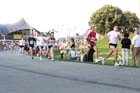 050727b2run_mlm2_004