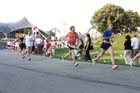 050727b2run_mlm2_010