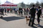 070401start_halbmarathon04