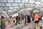 070401start_halbmarathon75