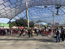 231007trachenlauf129