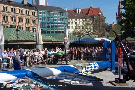 05maibaum_viktualienmarkt01