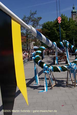 05maibaum_viktualienmarkt23