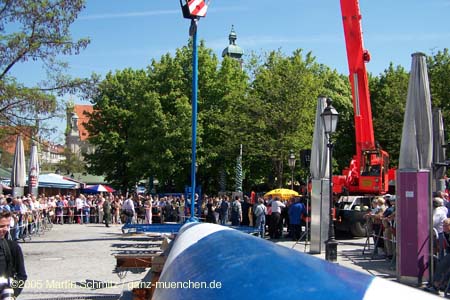 05maibaum_viktualienmarkt26