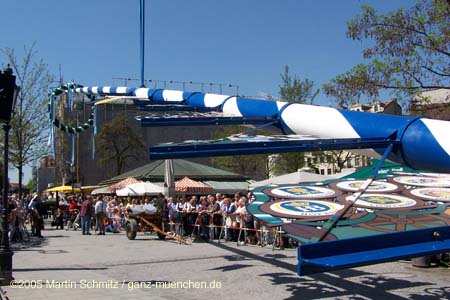 05maibaum_viktualienmarkt47