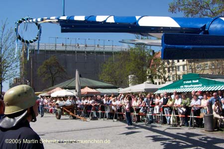 05maibaum_viktualienmarkt48