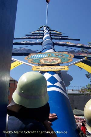 05maibaum_viktualienmarkt53