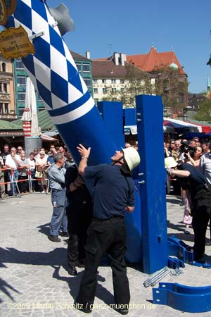 05maibaum_viktualienmarkt66