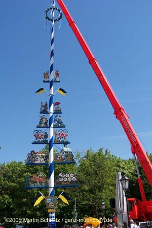 05maibaum_viktualienmarkt80