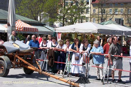 05maibaum_viktualienmarkt82