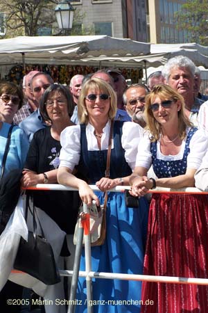 05maibaum_viktualienmarkt88