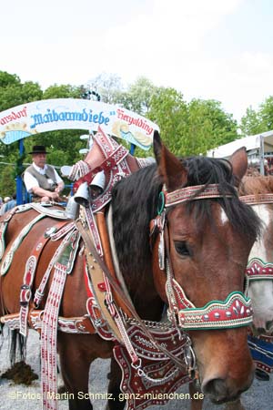 060507franzikanerg_mai081