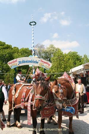 060507franzikanerg_mai088