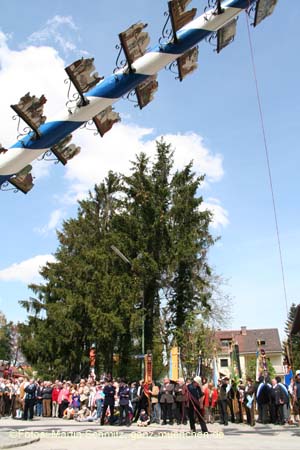 060501maibaum_truder51