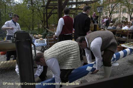 060501brunnwart_maibaum06