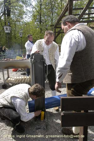 060501brunnwart_maibaum07