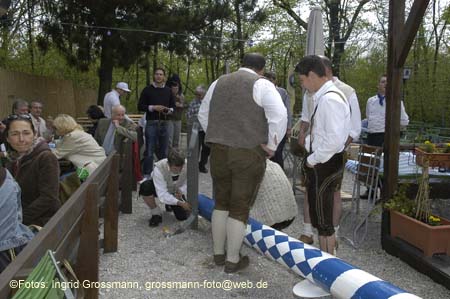 060501brunnwart_maibaum09