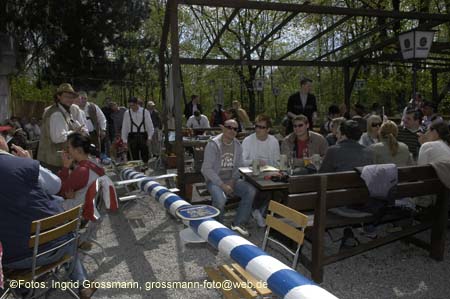 060501brunnwart_maibaum11