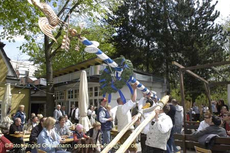 060501brunnwart_maibaum15
