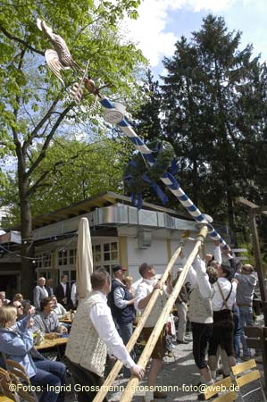 060501brunnwart_maibaum16