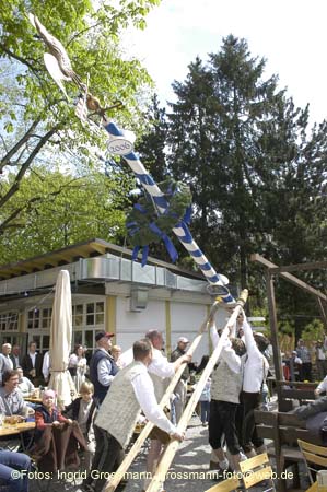 060501brunnwart_maibaum17