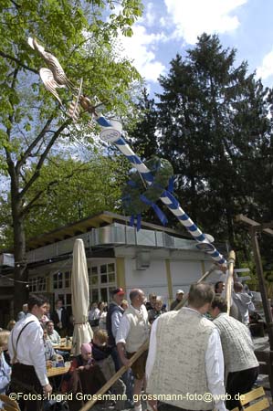 060501brunnwart_maibaum18