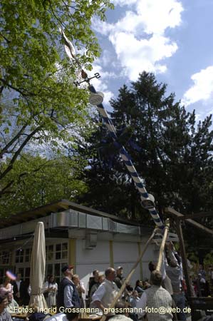 060501brunnwart_maibaum19