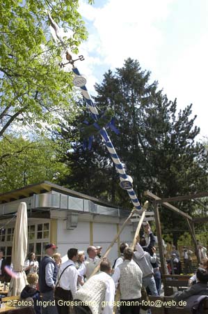 060501brunnwart_maibaum20