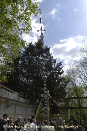 060501brunnwart_maibaum22
