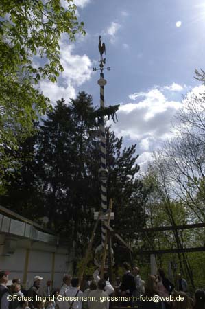 060501brunnwart_maibaum23