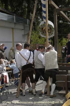 060501brunnwart_maibaum24