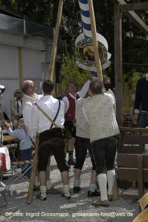 060501brunnwart_maibaum25