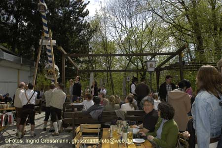 060501brunnwart_maibaum26