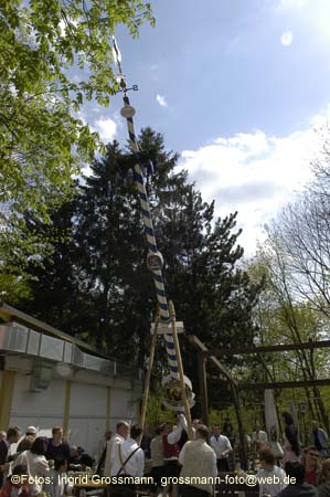 060501brunnwart_maibaum28