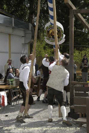 060501brunnwart_maibaum29