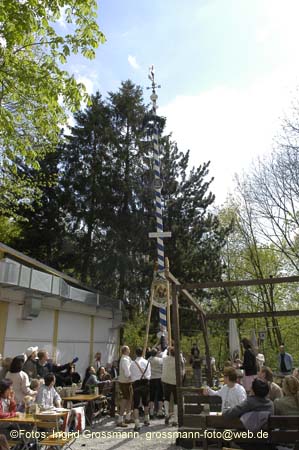 060501brunnwart_maibaum30